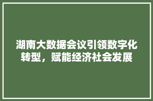 湖南大数据会议引领数字化转型，赋能经济社会发展  第1张
