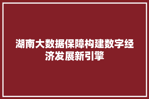 湖南大数据保障构建数字经济发展新引擎  第1张