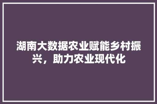 湖南大数据农业赋能乡村振兴，助力农业现代化  第1张
