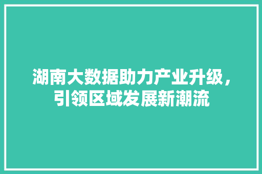 湖南大数据助力产业升级，引领区域发展新潮流  第1张