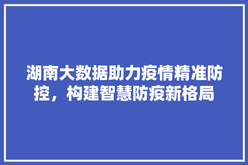 湖南大数据助力疫情精准防控，构建智慧防疫新格局  第1张