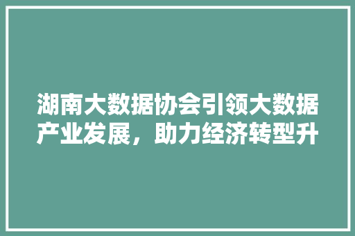 湖南大数据协会引领大数据产业发展，助力经济转型升级  第1张