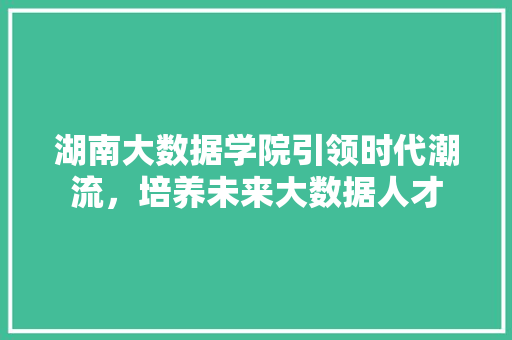 湖南大数据学院引领时代潮流，培养未来大数据人才  第1张