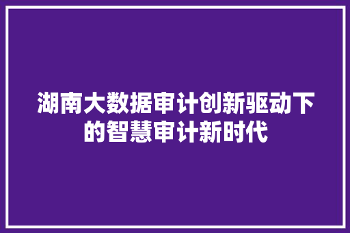 湖南大数据审计创新驱动下的智慧审计新时代  第1张