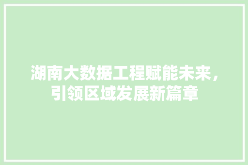 湖南大数据工程赋能未来，引领区域发展新篇章  第1张