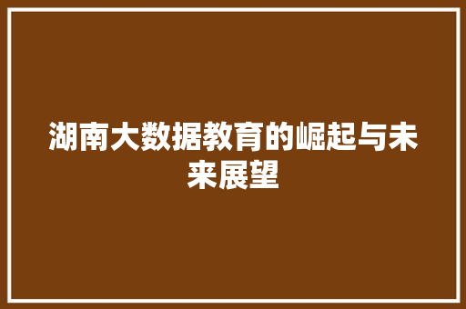 湖南大数据教育的崛起与未来展望  第1张