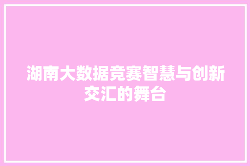 湖南大数据竞赛智慧与创新交汇的舞台  第1张