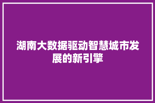 湖南大数据驱动智慧城市发展的新引擎  第1张