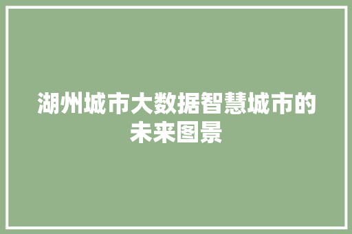 湖州城市大数据智慧城市的未来图景  第1张