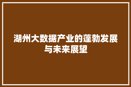 湖州大数据产业的蓬勃发展与未来展望  第1张