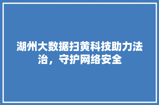 湖州大数据扫黄科技助力法治，守护网络安全  第1张