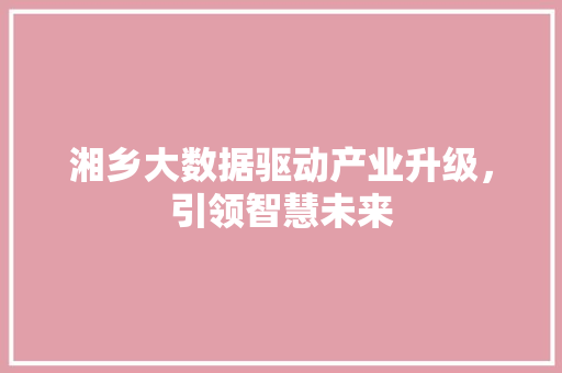 湘乡大数据驱动产业升级，引领智慧未来