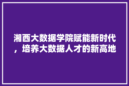湘西大数据学院赋能新时代，培养大数据人才的新高地  第1张
