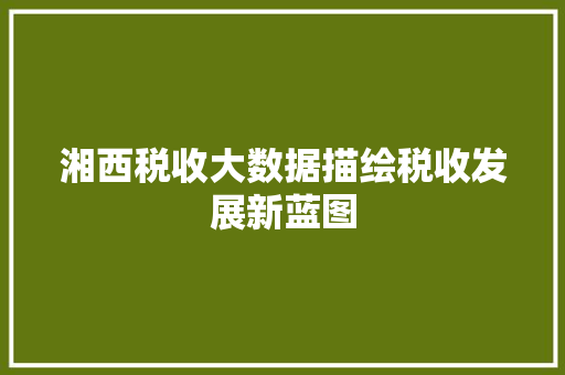 湘西税收大数据描绘税收发展新蓝图  第1张