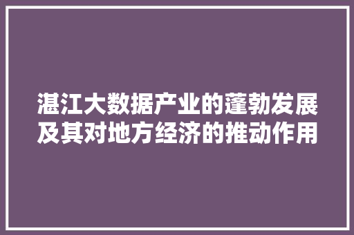 湛江大数据产业的蓬勃发展及其对地方经济的推动作用  第1张