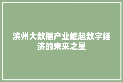 滨州大数据产业崛起数字经济的未来之星  第1张