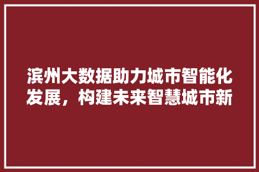 滨州大数据助力城市智能化发展，构建未来智慧城市新格局  第1张