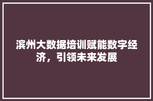 滨州大数据培训赋能数字经济，引领未来发展  第1张