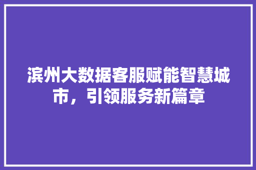 滨州大数据客服赋能智慧城市，引领服务新篇章  第1张