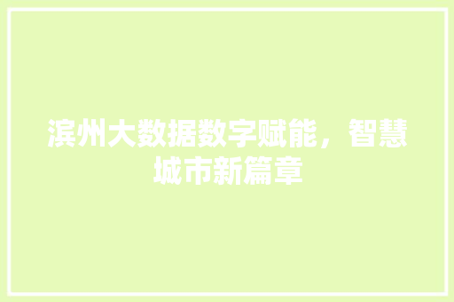 滨州大数据数字赋能，智慧城市新篇章  第1张