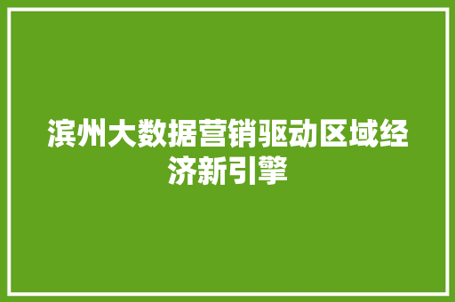 滨州大数据营销驱动区域经济新引擎