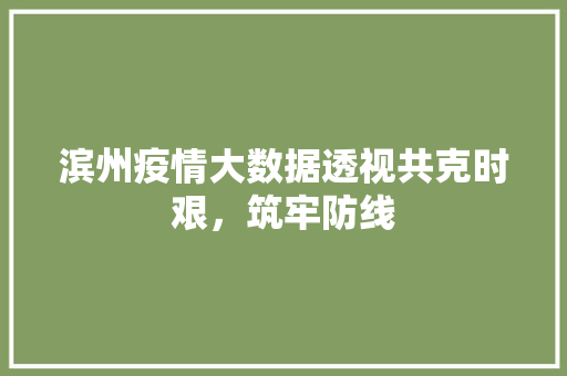 滨州疫情大数据透视共克时艰，筑牢防线  第1张