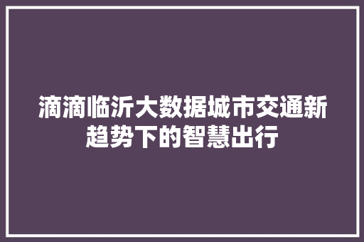 滴滴临沂大数据城市交通新趋势下的智慧出行