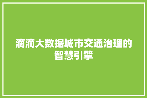滴滴大数据城市交通治理的智慧引擎  第1张