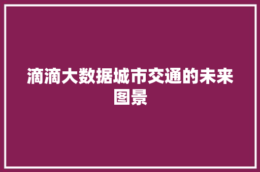 滴滴大数据城市交通的未来图景  第1张