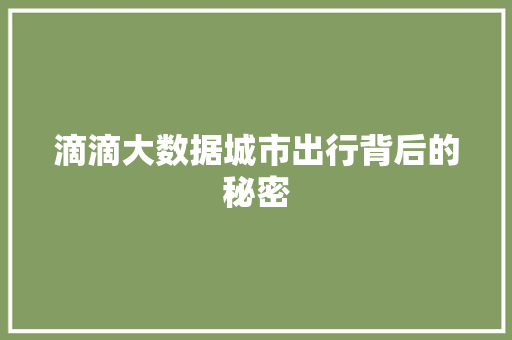滴滴大数据城市出行背后的秘密  第1张