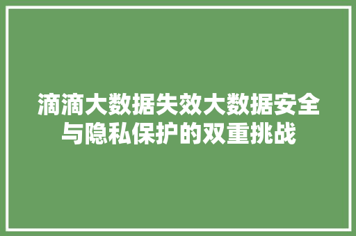 滴滴大数据失效大数据安全与隐私保护的双重挑战  第1张