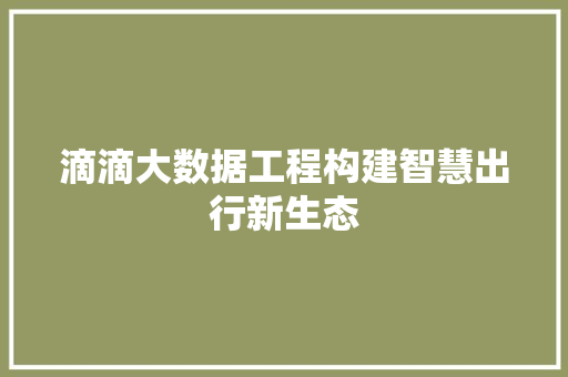 滴滴大数据工程构建智慧出行新生态  第1张