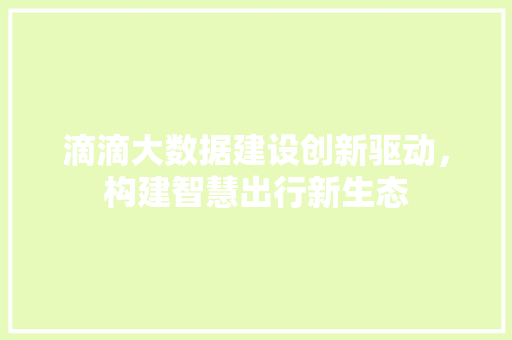 滴滴大数据建设创新驱动，构建智慧出行新生态  第1张