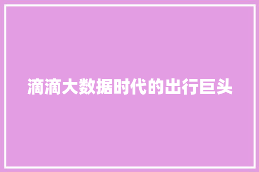 滴滴大数据时代的出行巨头  第1张