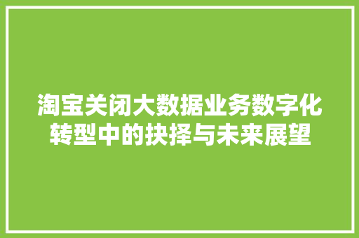 淘宝关闭大数据业务数字化转型中的抉择与未来展望  第1张