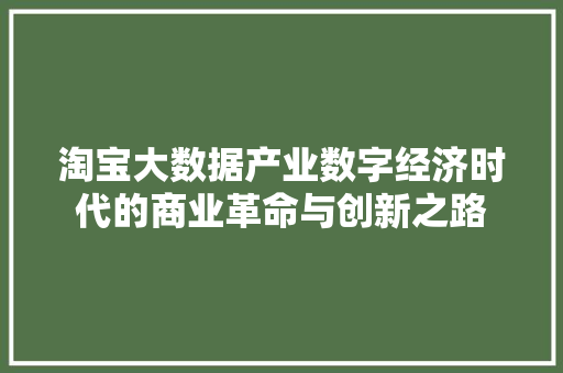 淘宝大数据产业数字经济时代的商业革命与创新之路  第1张