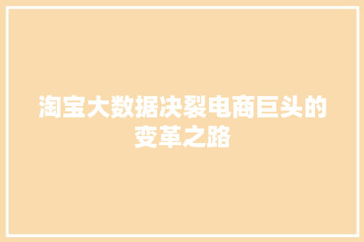 淘宝大数据决裂电商巨头的变革之路  第1张