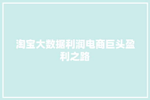 淘宝大数据利润电商巨头盈利之路  第1张