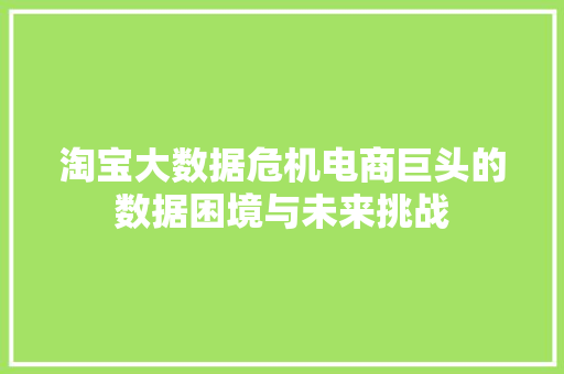 淘宝大数据危机电商巨头的数据困境与未来挑战  第1张
