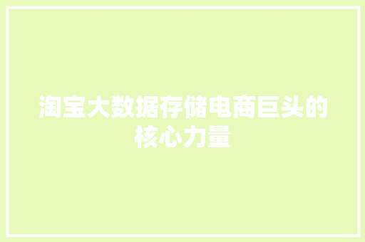 淘宝大数据存储电商巨头的核心力量  第1张