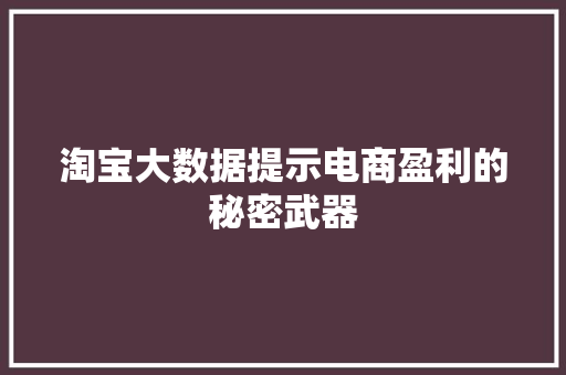 淘宝大数据提示电商盈利的秘密武器  第1张