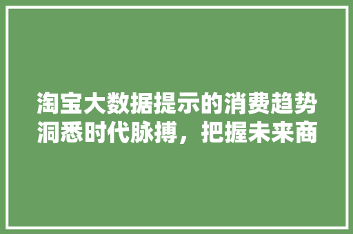 淘宝大数据提示的消费趋势洞悉时代脉搏，把握未来商机  第1张