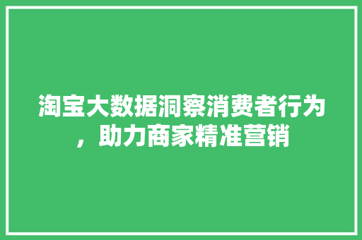 淘宝大数据洞察消费者行为，助力商家精准营销  第1张