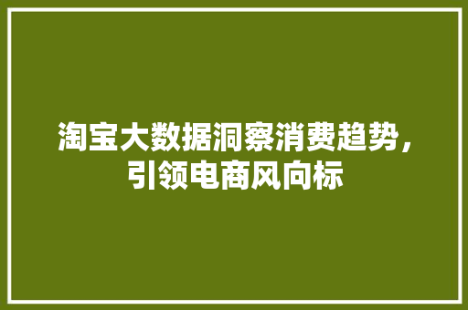淘宝大数据洞察消费趋势，引领电商风向标  第1张
