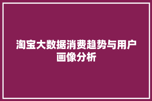 淘宝大数据消费趋势与用户画像分析  第1张