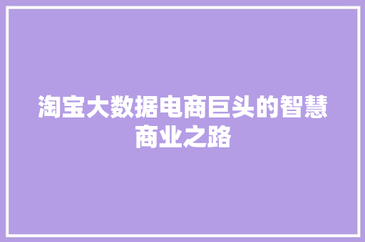 淘宝大数据电商巨头的智慧商业之路