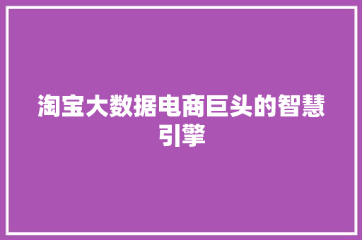 淘宝大数据电商巨头的智慧引擎  第1张