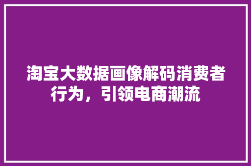 淘宝大数据画像解码消费者行为，引领电商潮流  第1张