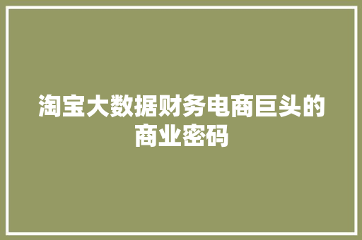 淘宝大数据财务电商巨头的商业密码  第1张