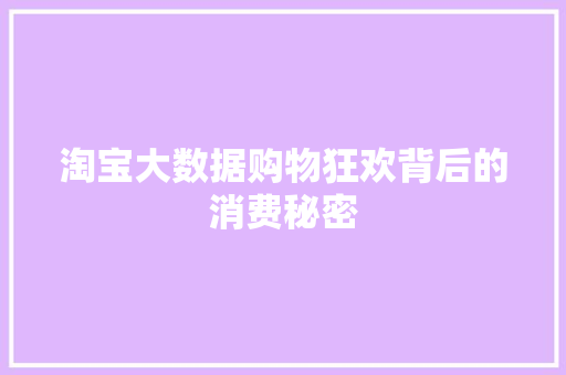 淘宝大数据购物狂欢背后的消费秘密  第1张